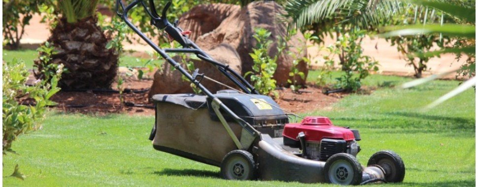 Outils motorisés de jardin et accessoires